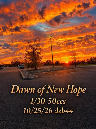 Dawn of a New Hope by deb44