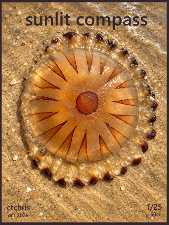 sunlit compass by ctchris