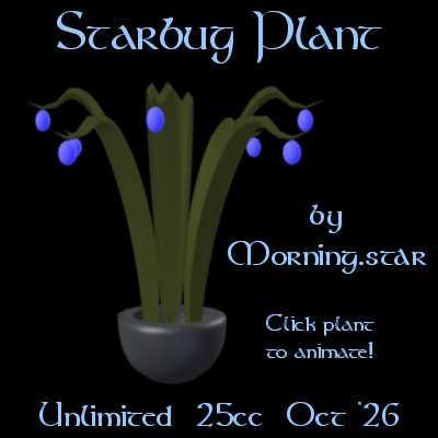 Starbug Plant by Morning.star