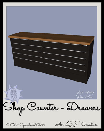 Shop Counter - D by LSS