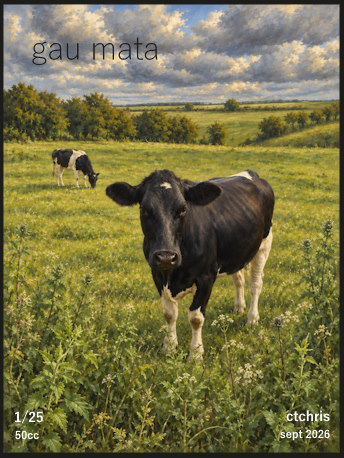 gau mata by ctchris