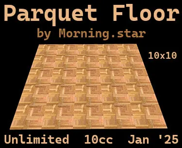 Parquet Floor(10)[0107] by Morning.star