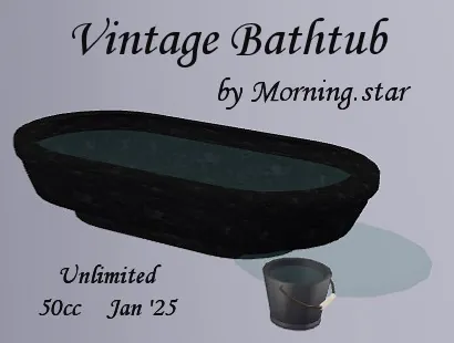 Vintage Tub(50){1226} by Morning.star