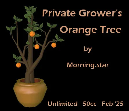 PG Orange Tree(50)[0214] by Morning.star