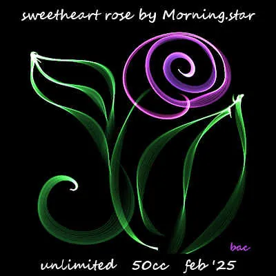 Sweetheart Rose(50)[0214] by Morning.star