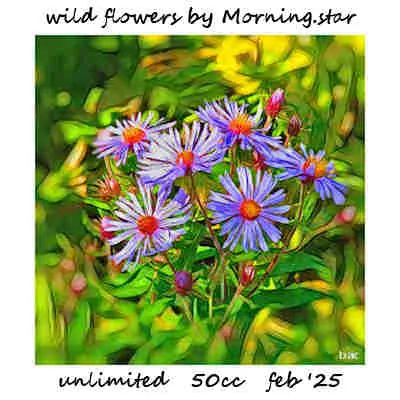 Wild Flowers(50)[0218] by Morning.star