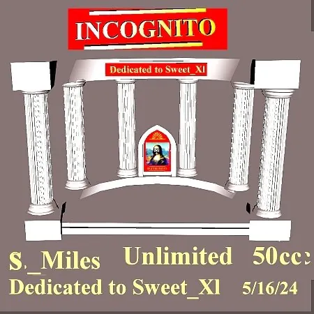 Incognito(50)[0517] by S._Miles
