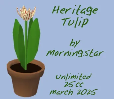 Heritage Tulip(25)[0321] by Morning.star