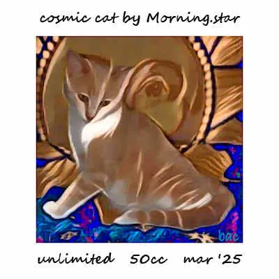 Cosmic Cat(50)[0325] by Morning.star