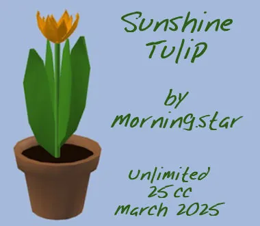 Sunshine Tulip(25)[0325] by Morning.star