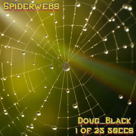 Spiderwebs(50)[0425] by Doug_Black