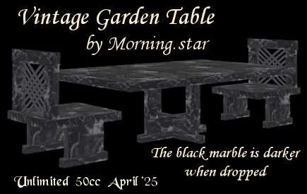 Vintage Garden Table(50)[0425] by Morning.star