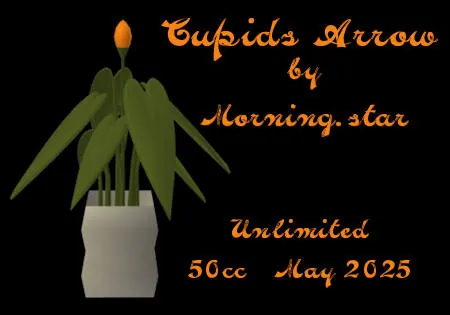 Cupids Arrow(50)[0509] by Morning.star