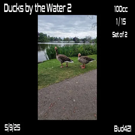 Ducks by the water 2(100)[0512] by Bud421