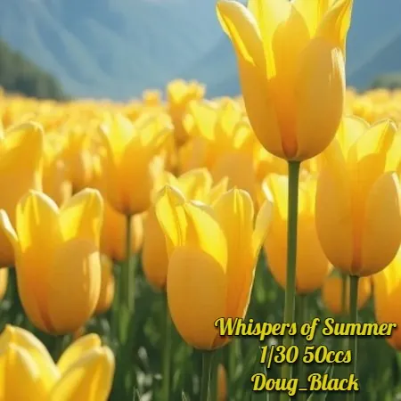 Whispers of Summer(50)[0512] by Doug_Black