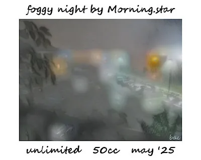 Foggy Night(50)[0516] by Morning.star