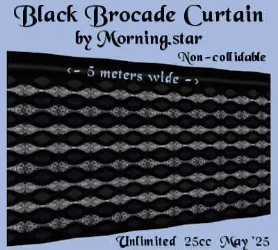 Brocade Curtain(25)[0527] by Morning.star