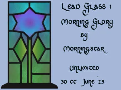 Morning Glory(30)[0617] by Morning.star