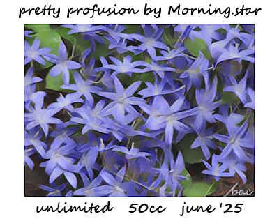 Pretty Profusion(50)[0624] by Morning.star