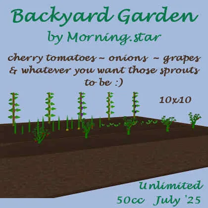 Backyard Garden(50)[0701] by Morning.star