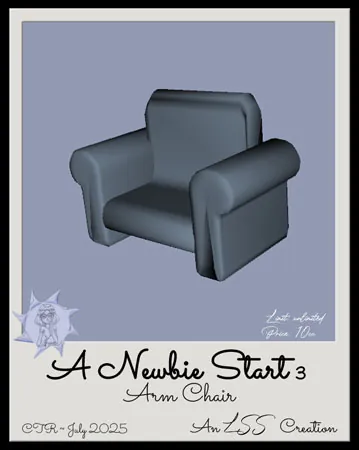 NewbieStart3Armchair(10)[0718] by LSS