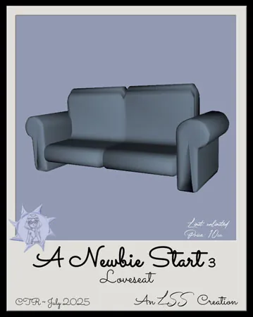 NewbieStart3Loveseat(10)[0718] by LSS