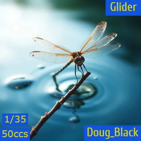 Glider(50)[0725] by Doug_Black