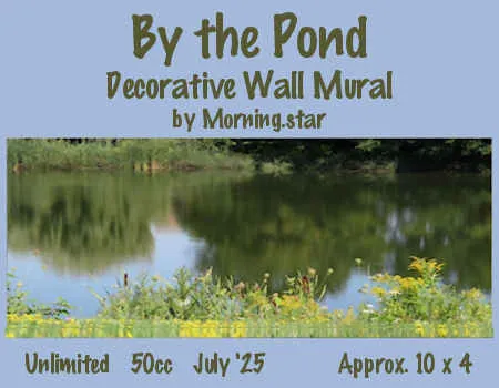 By the Pond(50)[0729] by Morning.star