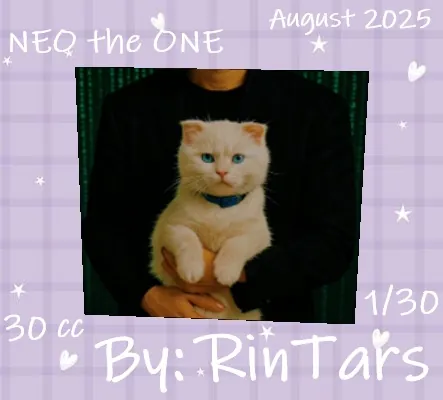 NEO the ONE(30)[0812] by RinTars
