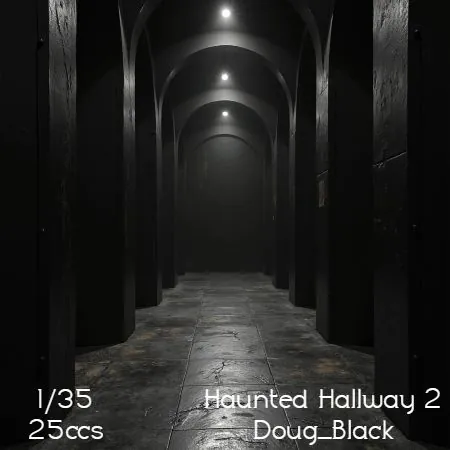 Haunted Hallway 2(25)[0905] by Doug_Black