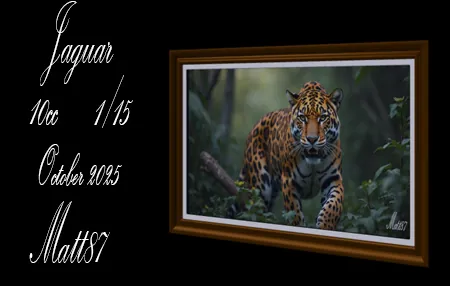 Jaguar(10)[1003] by Matt87