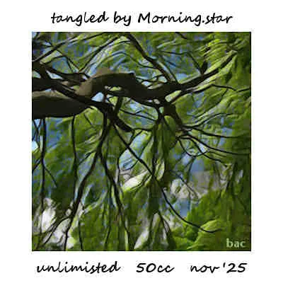 Tangled(50)[1111] by Morning.star