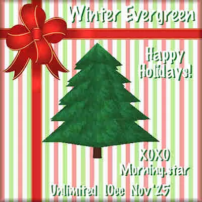 Winter Evergreen(10)[1128] by Morning.star