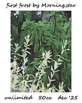 First Frost(50)[1202] by Morning.star