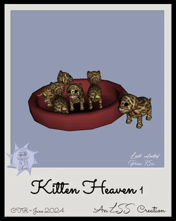 Kitten Heaven 1(75)[0705] by LSS