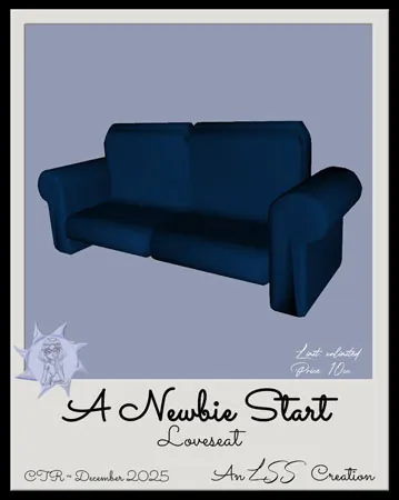 NewbieStart4Loveseat(10)[1209] by LSS