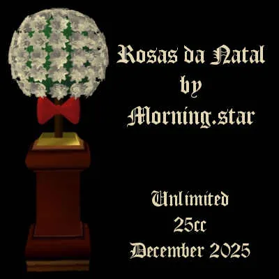 Rosas De Natal(25)[1219] by Morning.star