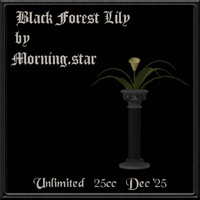 BF Lily(25)[1226] by Morning.star