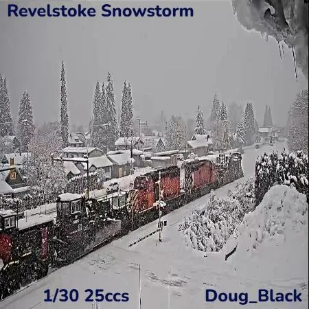 Revelstoke Snowstorm(25)[0123] by Doug_Black