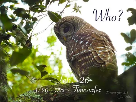 Who?(75)[0220] by Timesurfer