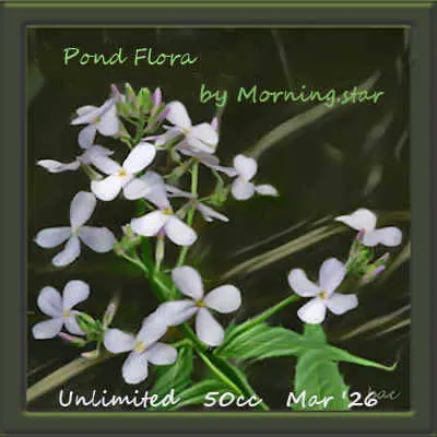 Pond Flora(50)[0310] by Morning.star