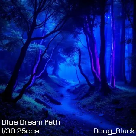 Blue Dream Path(25)[0310] by Doug_Black
