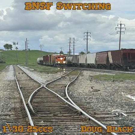 BNSF Switching(25)[0313] by Doug_Black
