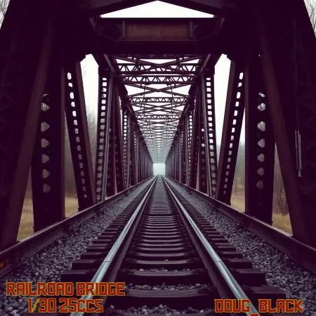 Railroad Bridge(25)[0317] by Doug_Black