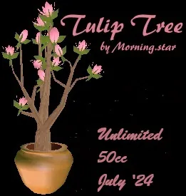 Tulip Tree(50)[0726] by Morning.star