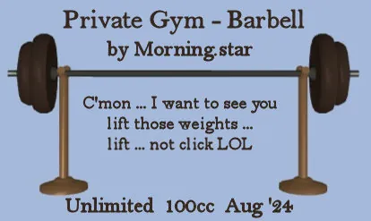 Private Gym Barbell(100)[0809] by Morning.star
