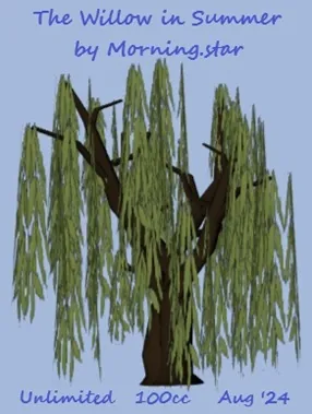 Willow in Summer(100){0320} by Morning.star