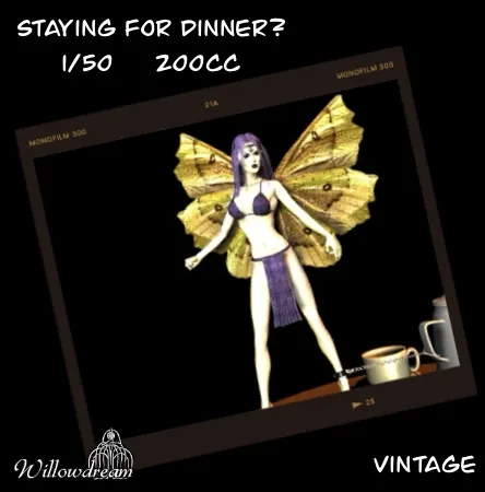 Staying for dinner(200)[0809] by willowdream