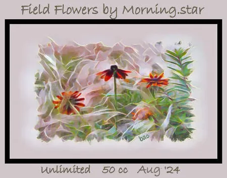 Field Flowers(50)[0813] by Morning.star