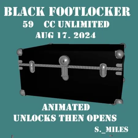 Black Footlocker(50)[0820] by S._Miles
